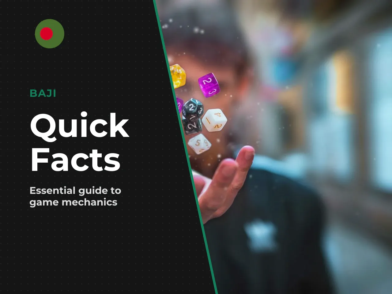 Key facts in brief