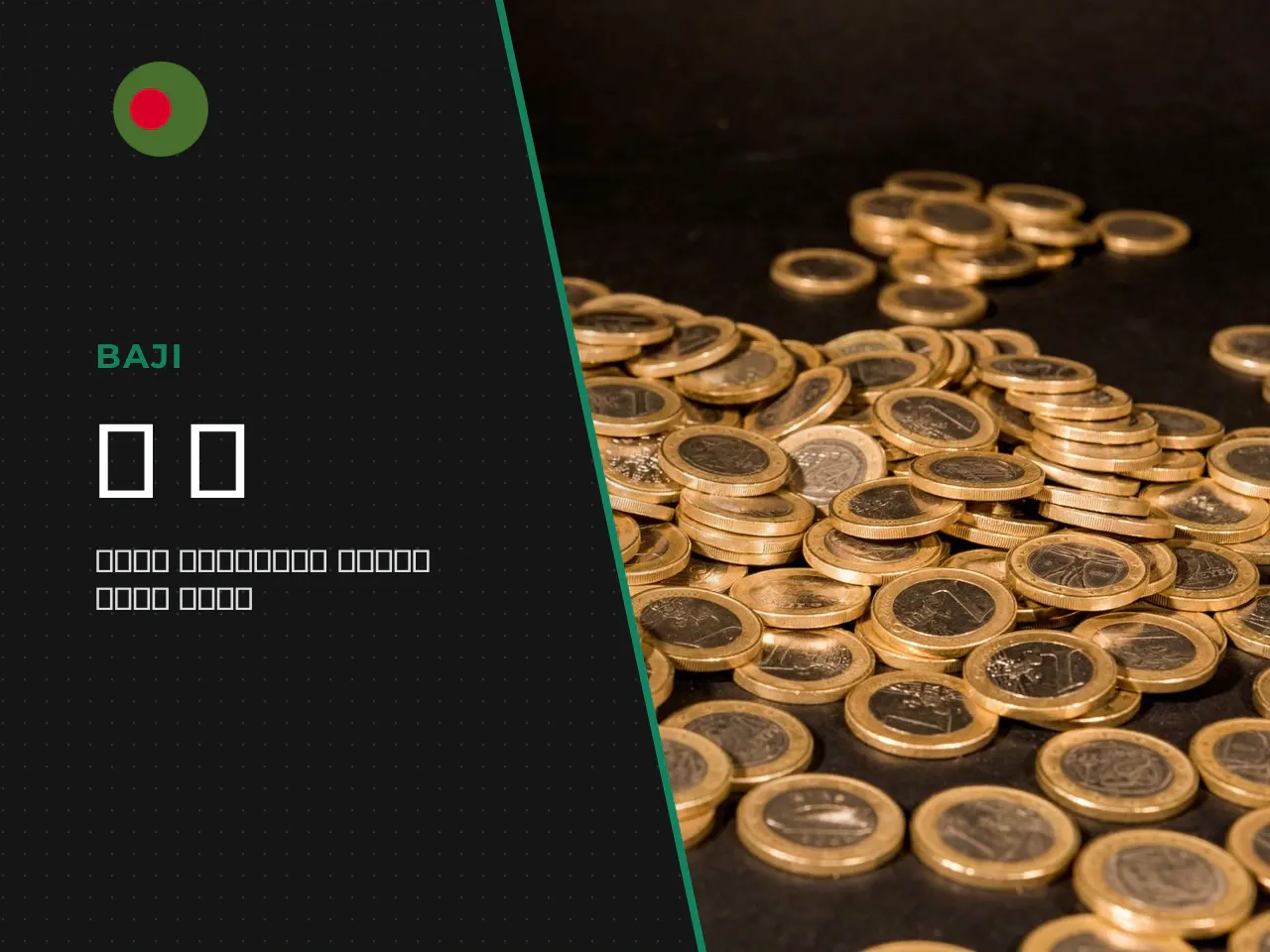Cashback, Sports Betting, Casino and Baji